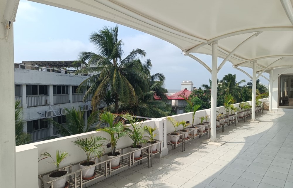 Hotel Dolphin