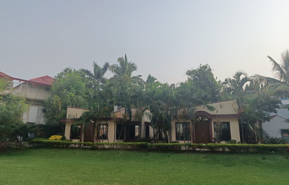 Hotel Dolphin